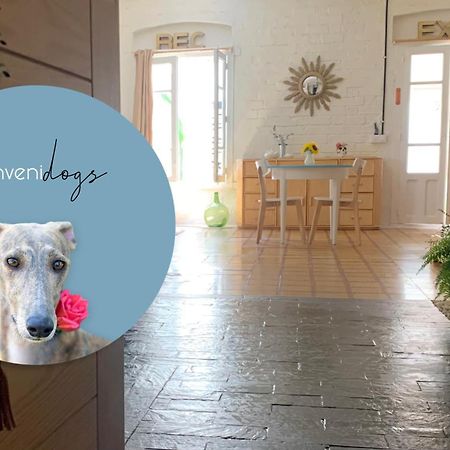 Loft Con Patio En La Zona De Tapas Pet Friendly Apartment Logroño Exterior foto