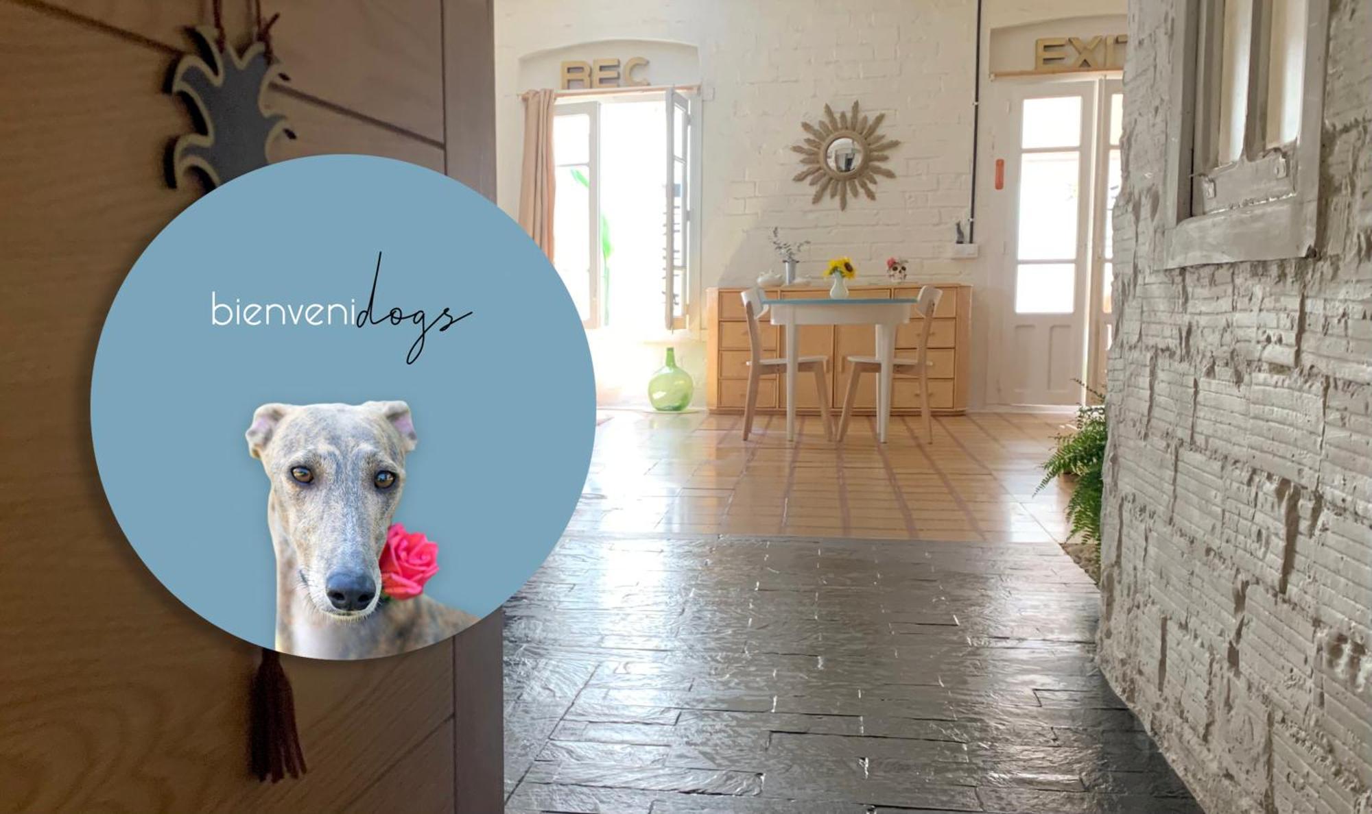 Loft Con Patio En La Zona De Tapas Pet Friendly Apartment Logroño Exterior foto
